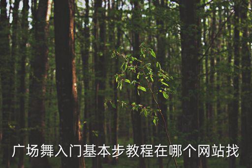 广场舞入门基本步教程在哪个网站找
