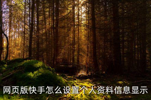 网页版快手怎么设置个人资料信息显示