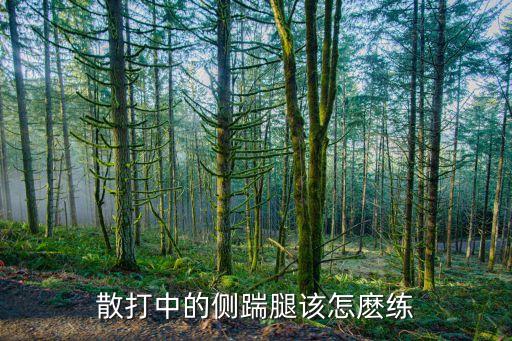 侧搬腿怎么练视频，侧揣腿的动作要领