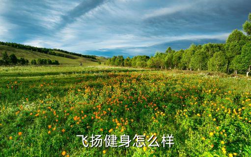 飞扬健身怎么样