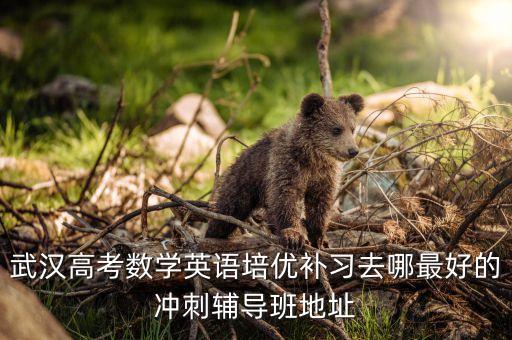 武汉高考集训班哪里好，请问武汉高中生补课去哪好最好的高考一对一辅导班地址谁知道