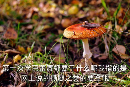 第一次上把杆练什么，第一次学芭蕾舞都要干什么呢我指的是网上说的撕腿之类的要全哦