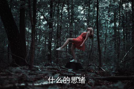 什么的思绪