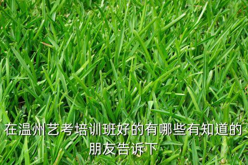 在温州艺考培训班好的有哪些有知道的朋友告诉下