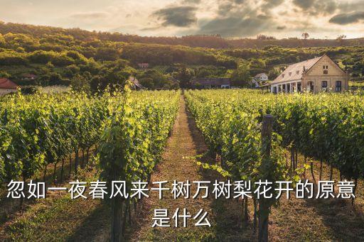 万树繁花什么意思，忽如一夜春风来千树万树梨花开是什么意思20世纪的科学成就为什