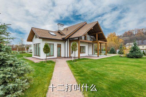 十二打叫什么