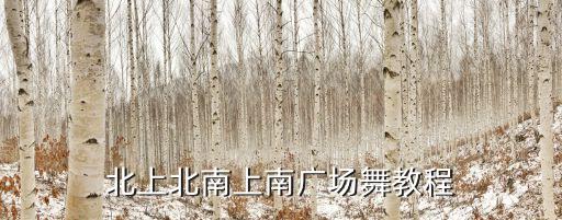 北上北南上南广场舞教程