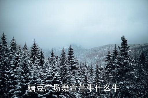 糖豆广场舞萱萱牛什么牛