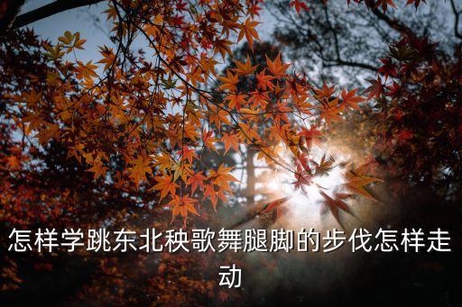 怎样学跳东北秧歌舞腿脚的步伐怎样走动