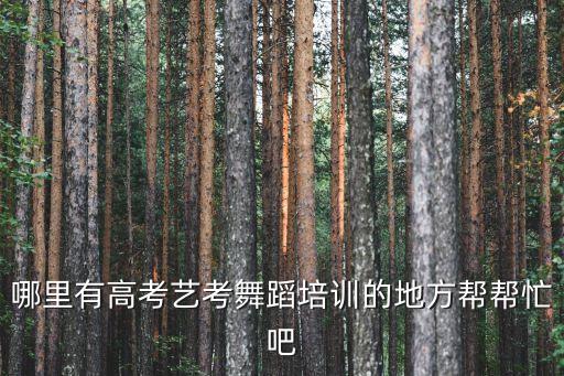 哪里有高考艺考舞蹈培训的地方帮帮忙吧