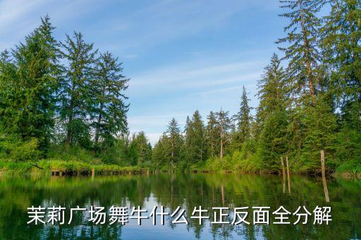 茉莉广场舞牛什么牛正反面全分解