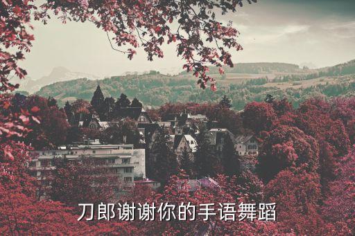 刀郎谢谢你的手语舞蹈