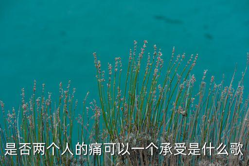 两个人的痛是什么歌，我记得当年有那么有首歌歌词是这样的 最后两个人的痛一个人承受
