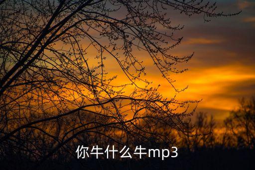 你牛什么牛广场舞动，你牛什么牛mp3