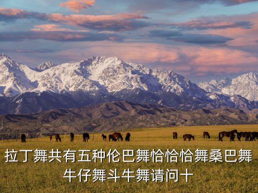 成人适合学拉丁什么舞，肚皮舞爵士成人拉丁哪种舞蹈容易学求大神帮助