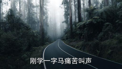 刚学一字马痛苦叫声