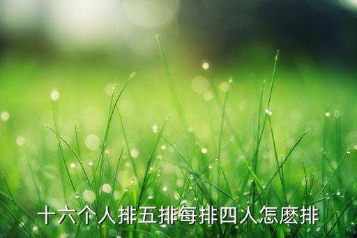 十六个人排五排每排四人怎麽排