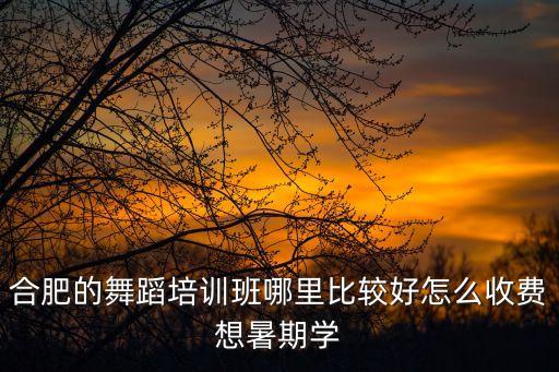 合肥的舞蹈培训班哪里比较好怎么收费想暑期学