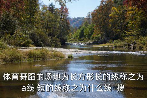 体育舞蹈场地是什么，体育舞蹈的场地为长方形长的线称之为a线 短的线称之为什么线  搜