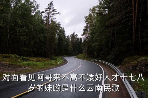 对面看见阿哥来不高不矮好人才十七八岁的妹哟是什么云南民歌