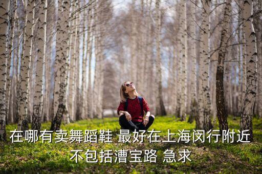 上海哪里可以买到国标舞鞋，在哪有卖舞蹈鞋 最好在上海闵行附近不包括漕宝路 急求