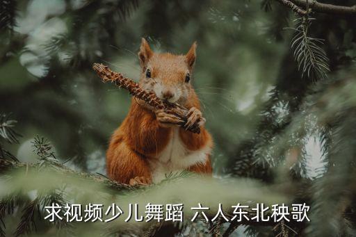 求视频少儿舞蹈 六人东北秧歌