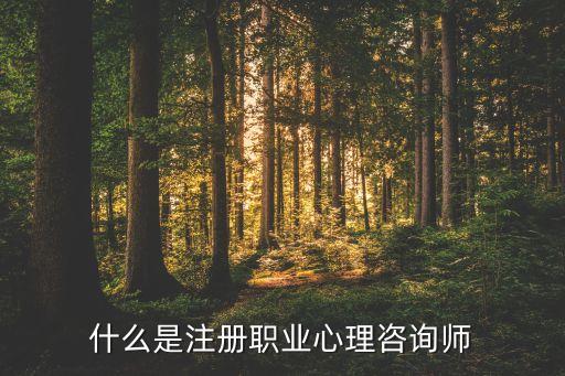 什么是注册职业心理咨询师