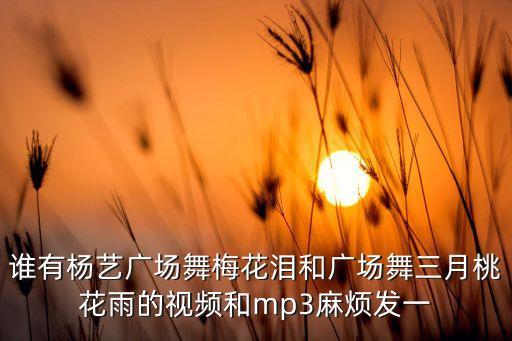梅花泪广场舞如何下载，谁有杨艺广场舞梅花泪和广场舞三月桃花雨的视频和mp3麻烦发一