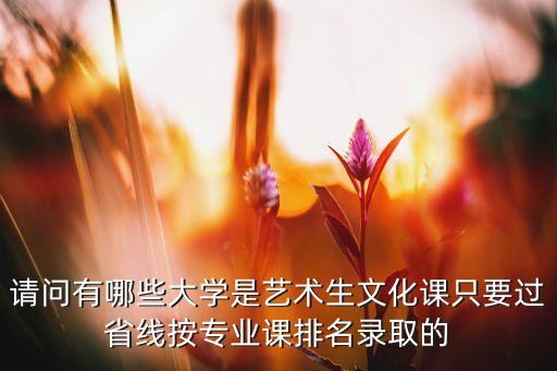 请问有哪些大学是艺术生文化课只要过省线按专业课排名录取的