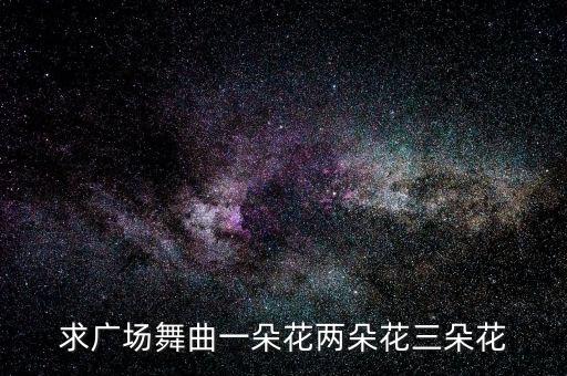 求广场舞曲一朵花两朵花三朵花