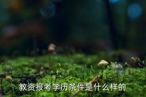 2023教资报名条件政策，教师资格笔试报名的硬性条件有哪些