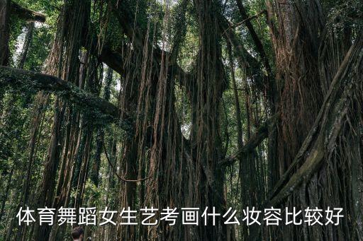 体育舞蹈女生艺考画什么妆容比较好