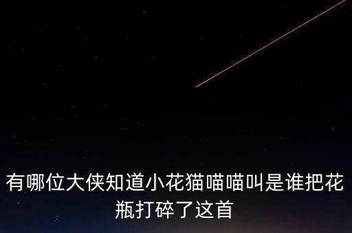 有哪位大侠知道小花猫喵喵叫是谁把花瓶打碎了这首