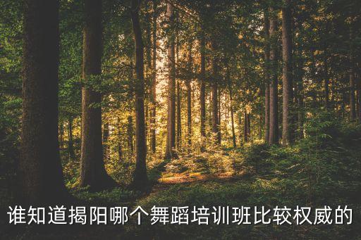 谁知道揭阳哪个舞蹈培训班比较权威的
