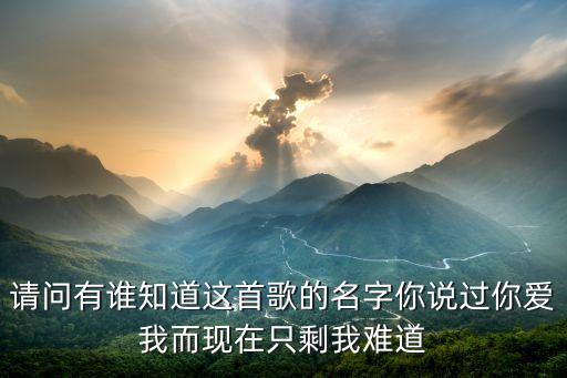 请问有谁知道这首歌的名字你说过你爱我而现在只剩我难道