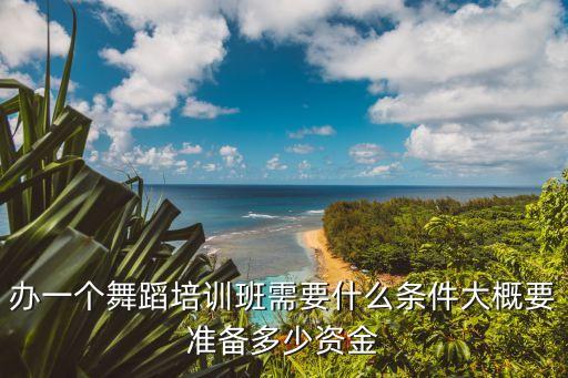 办一个舞蹈培训班需要什么条件大概要准备多少资金