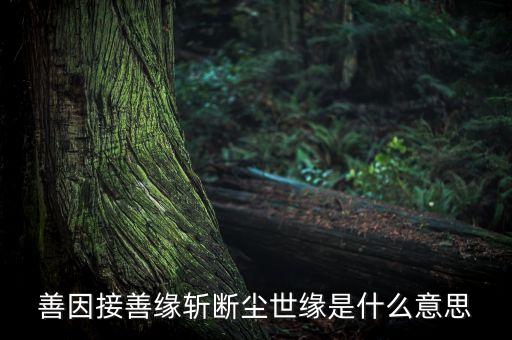 善因接善缘斩断尘世缘是什么意思