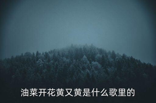 油菜花开是什么舞曲，求这首歌