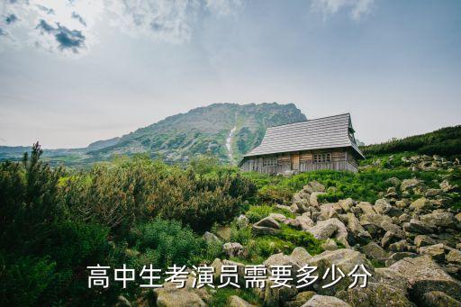 高中生考演员需要多少分