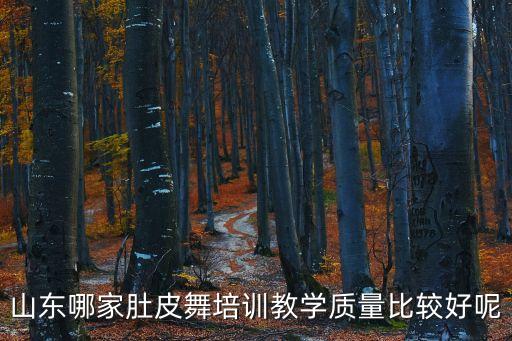 山东哪家肚皮舞培训教学质量比较好呢