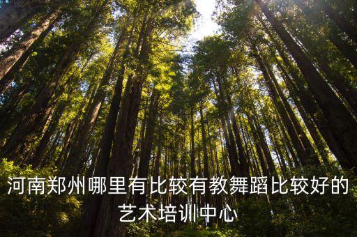 郑州学舞蹈培训哪个好，河南郑州哪里有比较有教舞蹈比较好的艺术培训中心