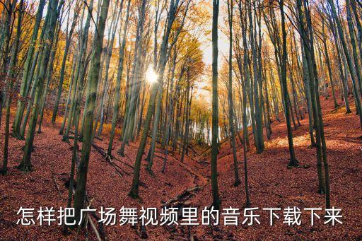 怎样把广场舞视频里的音乐下载下来