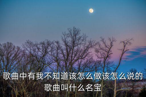 你想好怎么对她说糖豆，歌曲中有我不知道该怎么做该怎么说的歌曲叫什么名宝