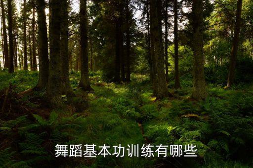 舞蹈基本功训练有哪些