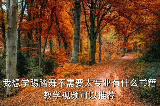 我想学踢踏舞不需要太专业有什么书籍教学视频可以推荐