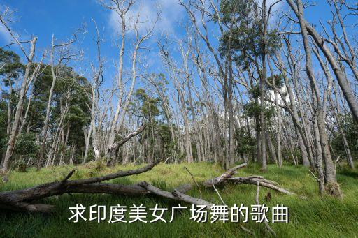 求印度美女广场舞的歌曲