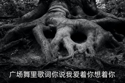 广场舞里歌词你说我爱着你想着你