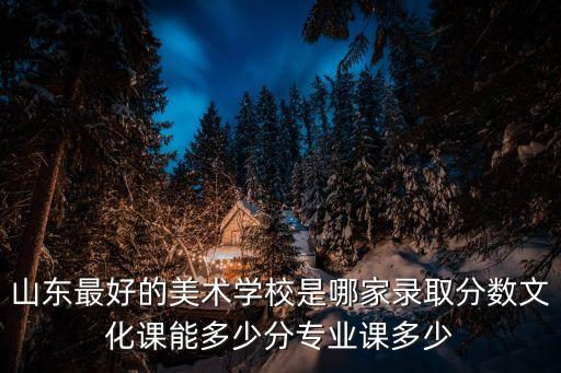 山东最好的美术学校是哪家录取分数文化课能多少分专业课多少