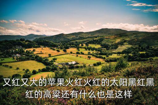 又红又大的苹果火红火红的太阳黑红黑红的高粱还有什么也是这样