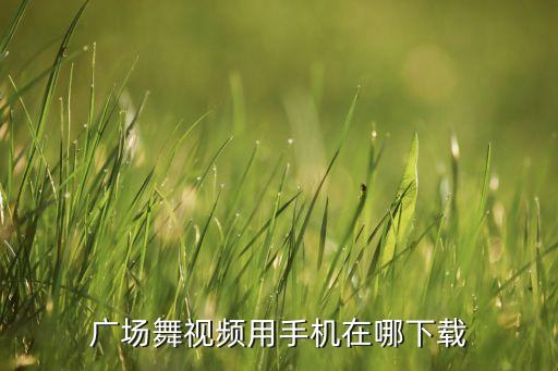 广场舞视频用手机在哪下载